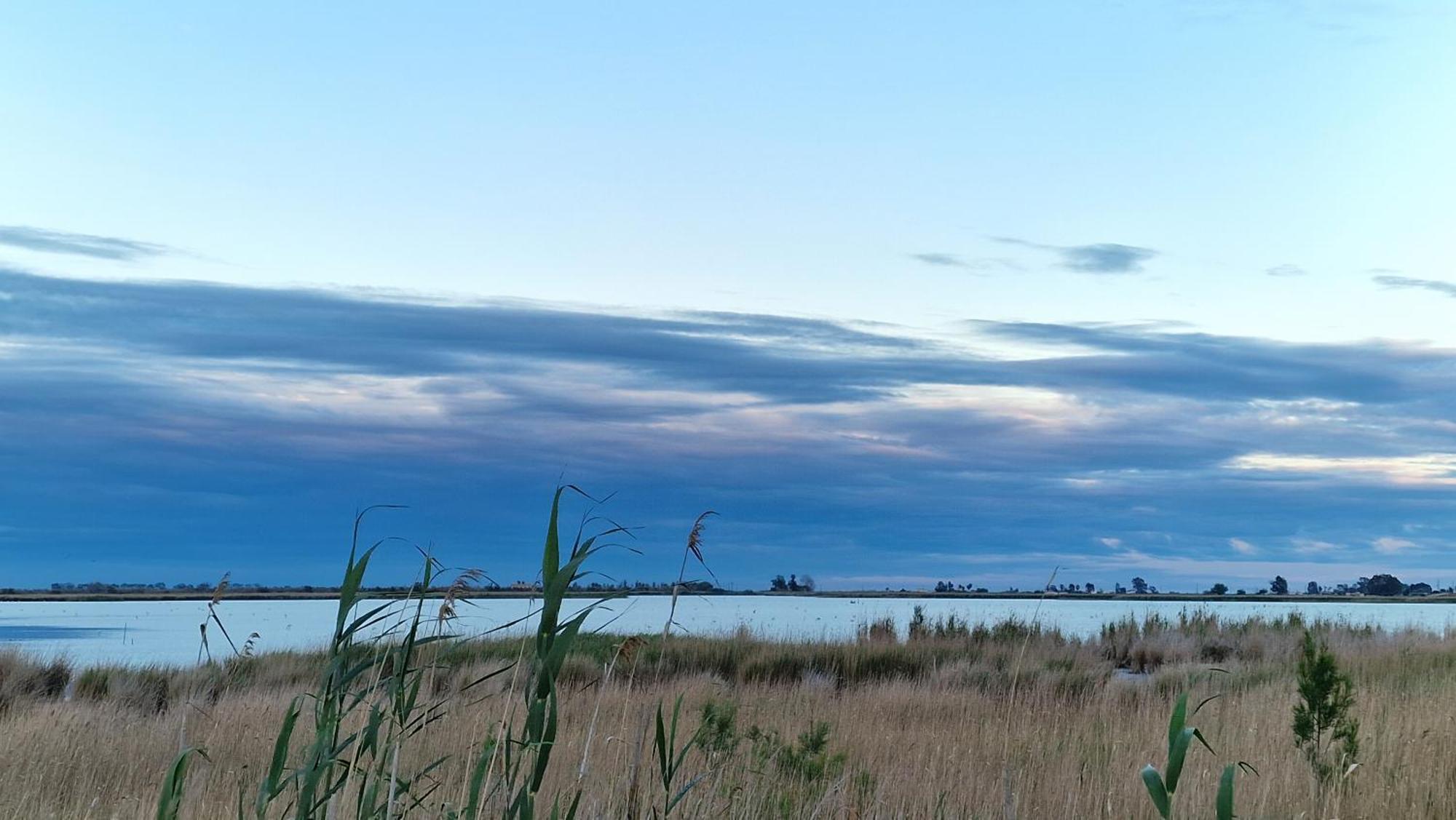 Willa La Casita Del Poble Nou Del Delta Zewnętrze zdjęcie